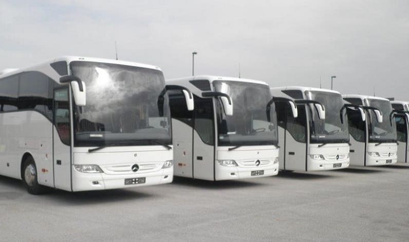 Sicily: Bus company in Palermo in Palermo and Italy