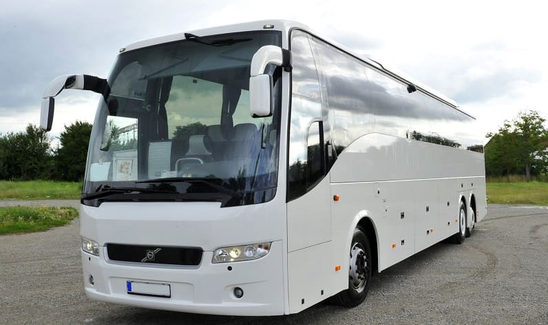 Sicily: Buses agency in Gela in Gela and Italy